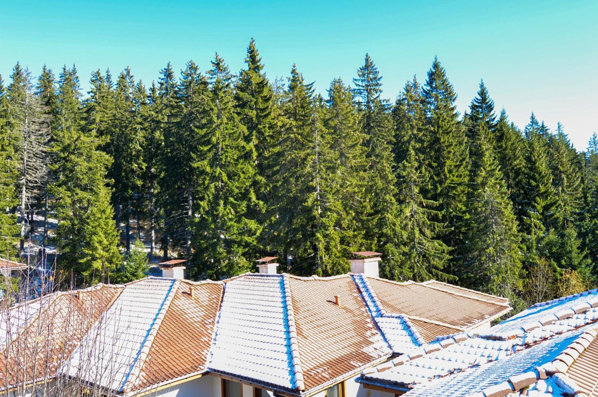 Myplace Pamporovo Апартаменти За Отдих Eksteriør bilde