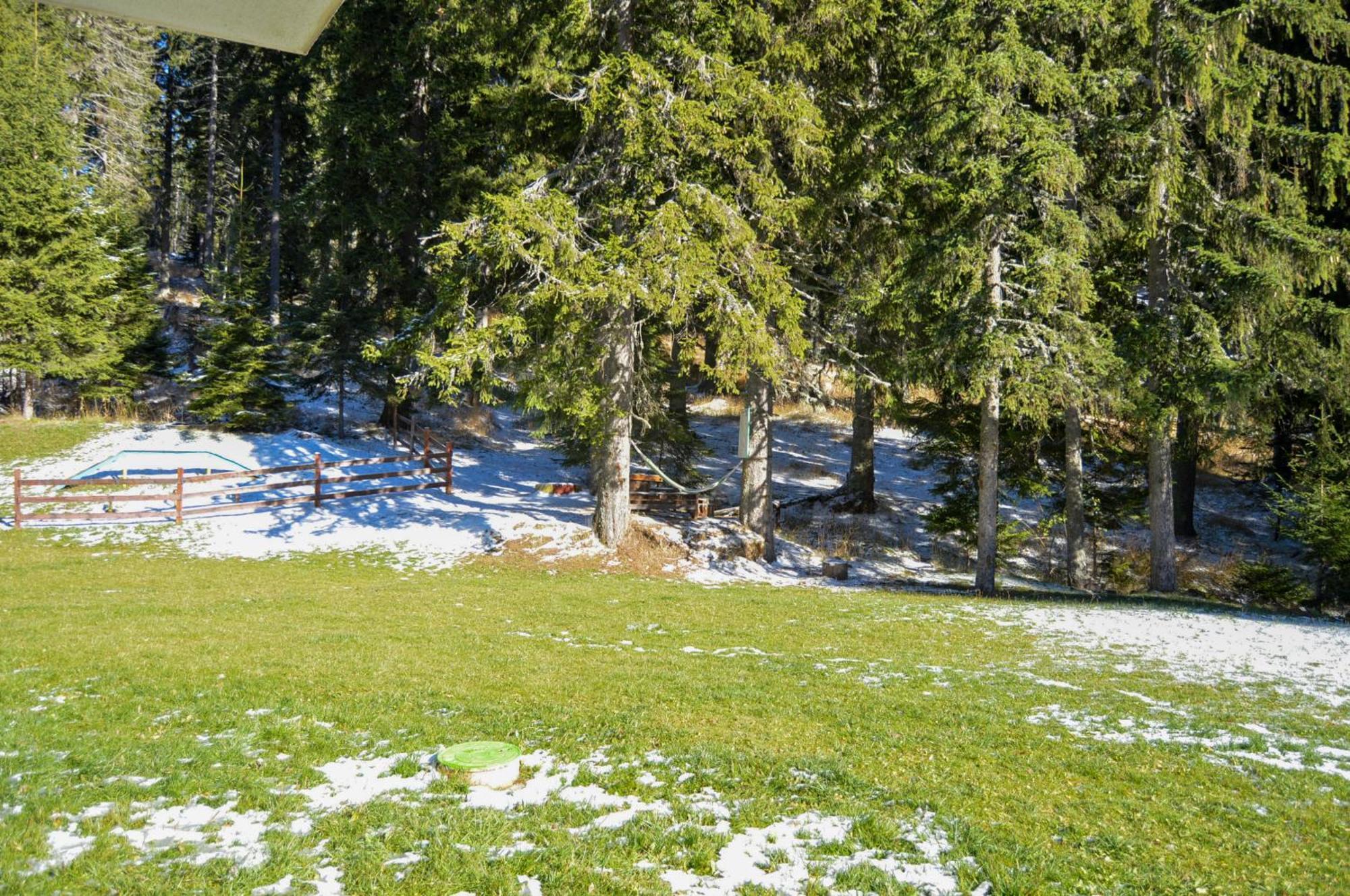 Myplace Pamporovo Апартаменти За Отдих Eksteriør bilde